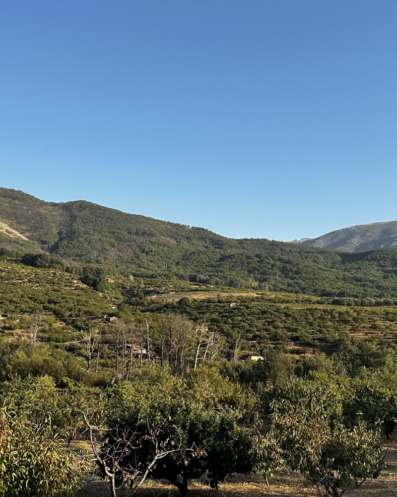 EL VALLE DEL JERTE EN OTOÑO, MÁS ALLÁ DE LOS CEREZOS EN FLOR