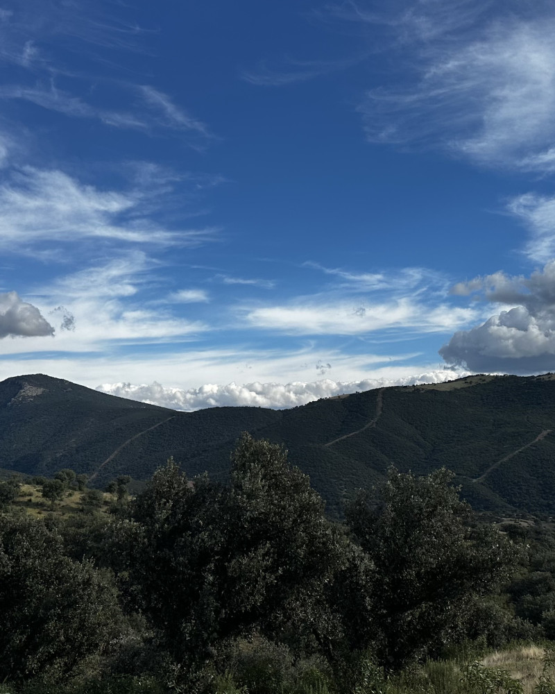 Explorando el Parque Natural del Valle de Alcudia y Sierra Madrona, Ciudad Real