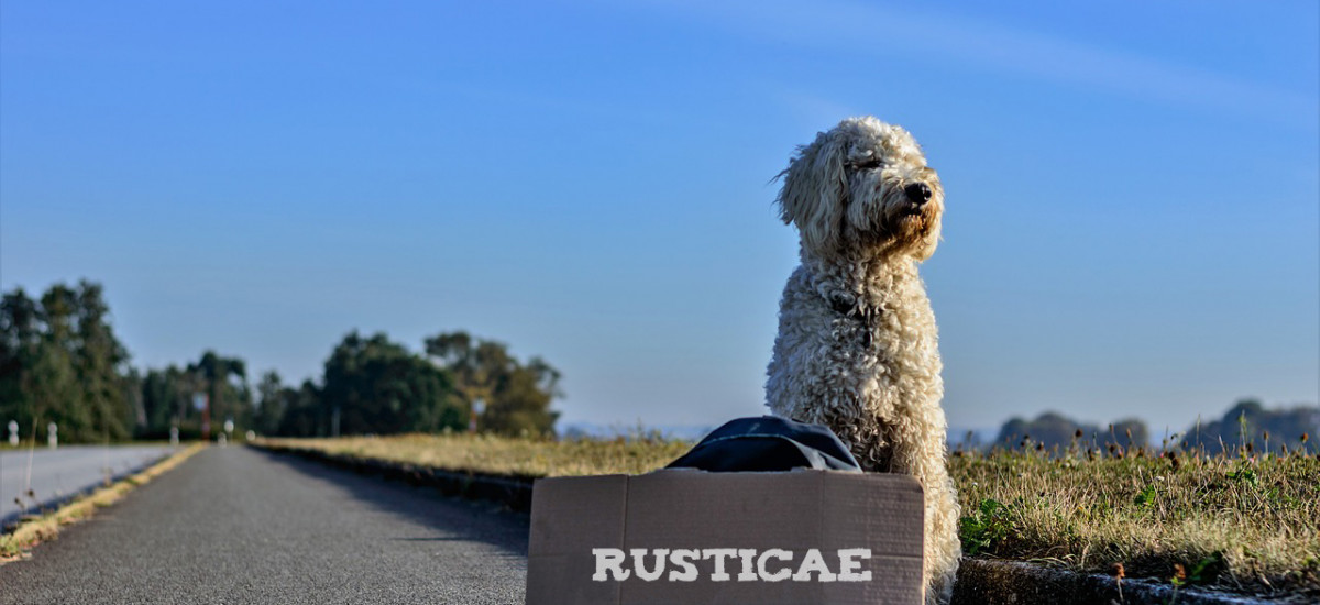 Hoteles con mascotas y Hoteles que admiten perros Rusticae