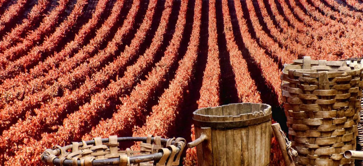 Getaways to La Rioja romantic rural winemaking weekends