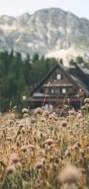 Rural hotels