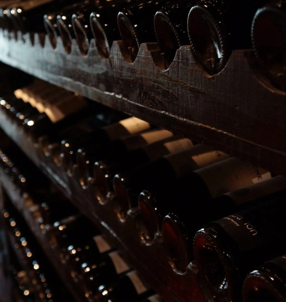 Wine Hotels & Enotourism