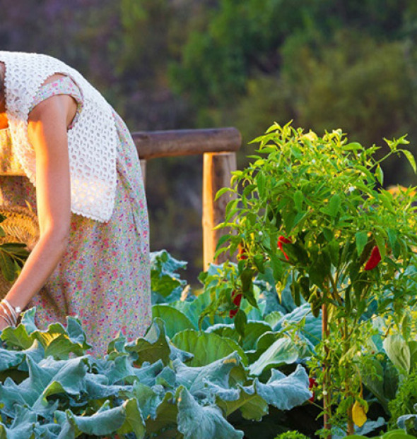 Hotels with ecological orchards