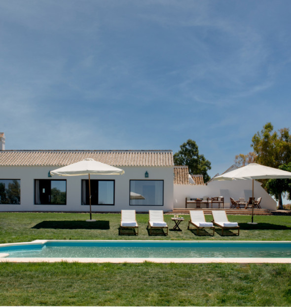 Apartamentos en Alquiler y Casas en Alquiler