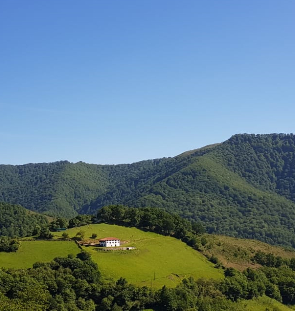 Hoteles Casas Rurales en Etxelar Navarra con encanto Paisaje