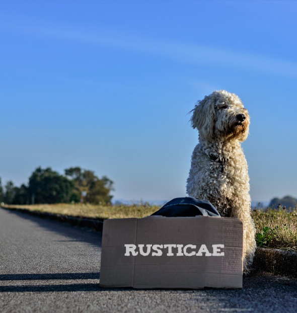 Pet-friendly Hotels and Dog-friendly Hotels Rusticae