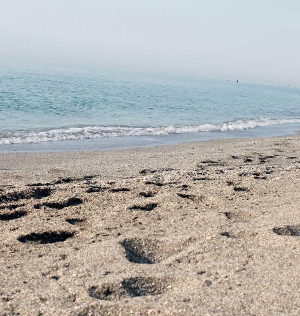 Hoteles con playas nudistas para hacer nudismo