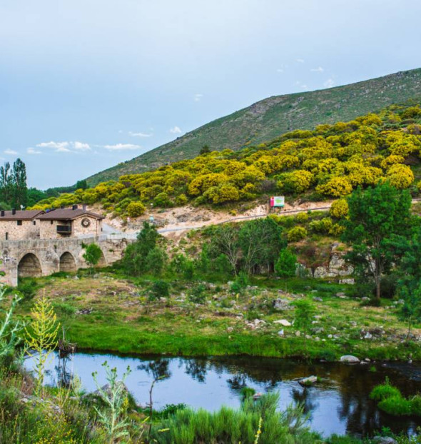 Hoteles en Navacepeda de Tormes