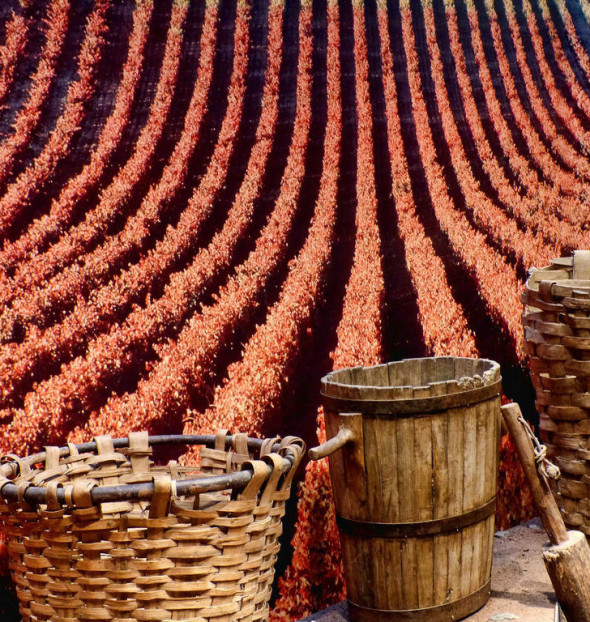 Escapadas a la Rioja fin de semana enológicas rurales romanticas