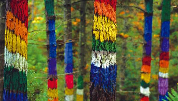 Hotels in Forests zum Spazierengehen und Wandern in Wäldern