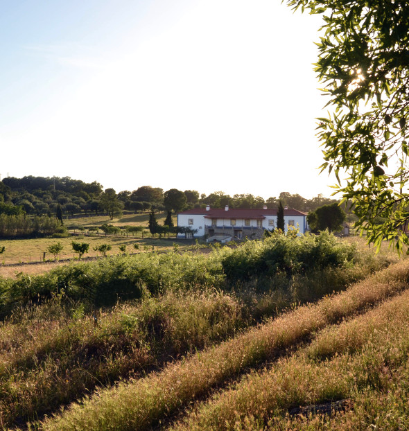 beira baixa boutique hotels