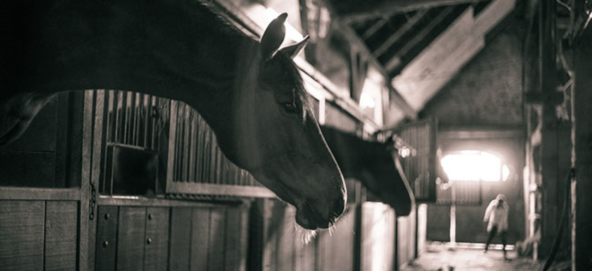 Hotels with horses facilities for children couples weekends walk