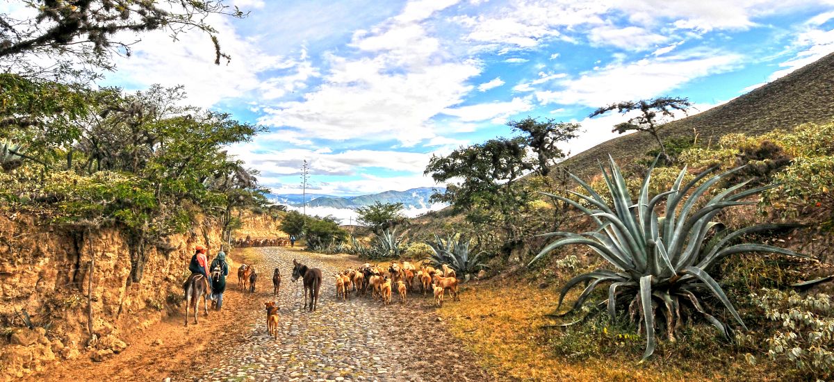 imbabura hoteles con encanto ecuador