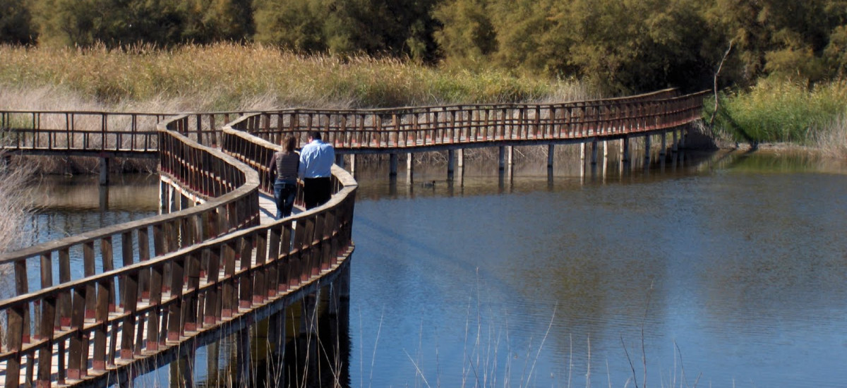 Hoteles en Tablas de Daimiel con encanto