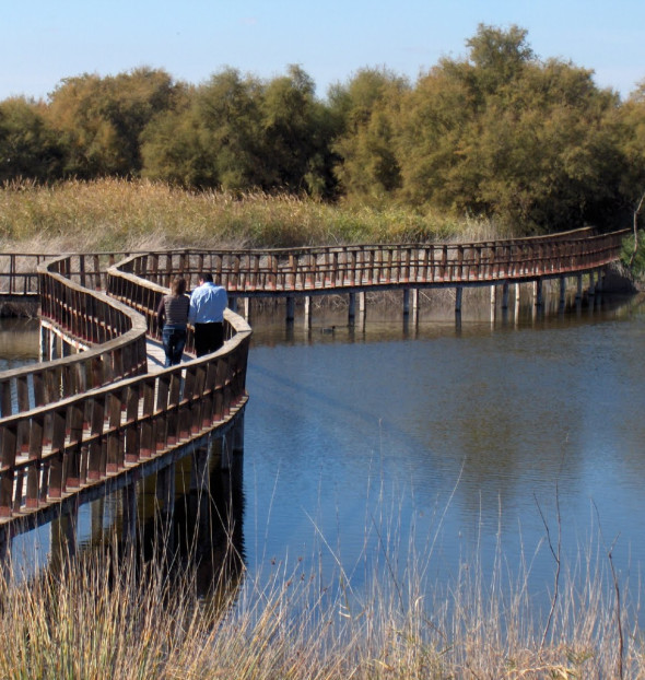 Tablas de Daimiel - Hoteles en Daimiel