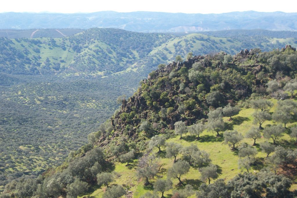 Hoteles en Aracena y en la Sierra de Huelva