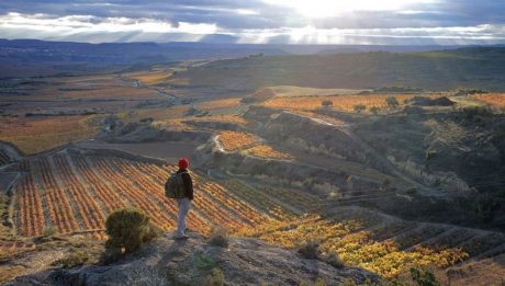 Ven a La Rioja