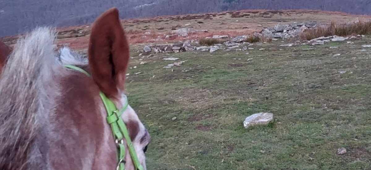 Passeios a cavalo no Parque Natural de Gorbea 