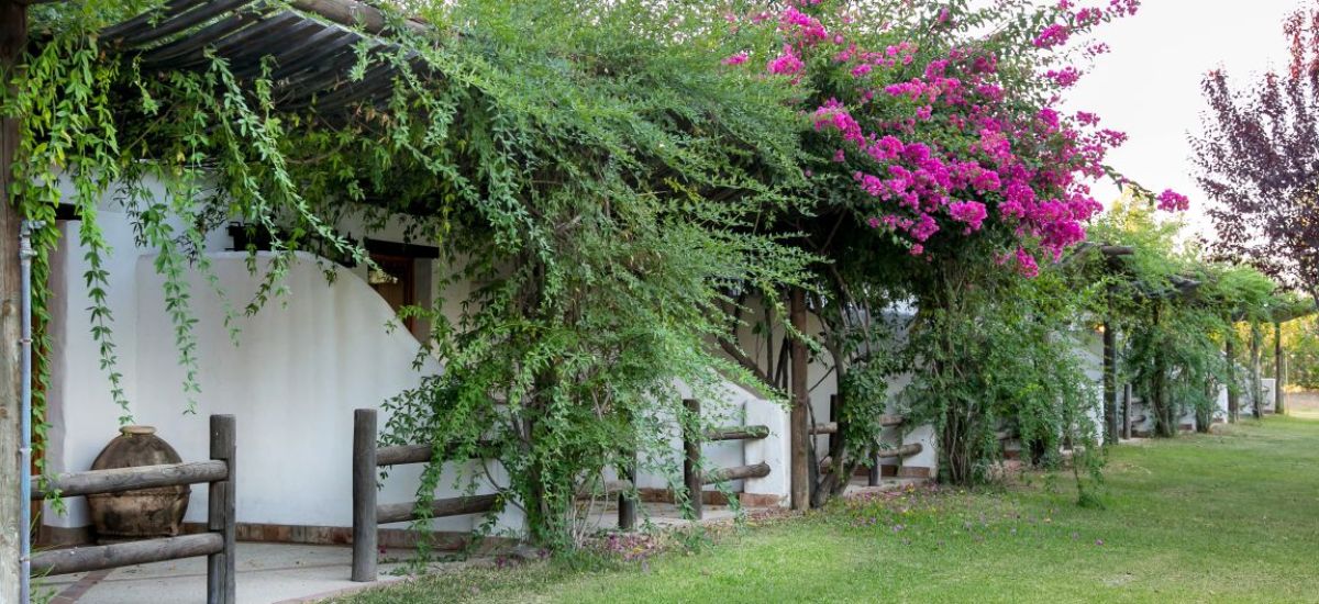 Experience " Doñana on Horseback "