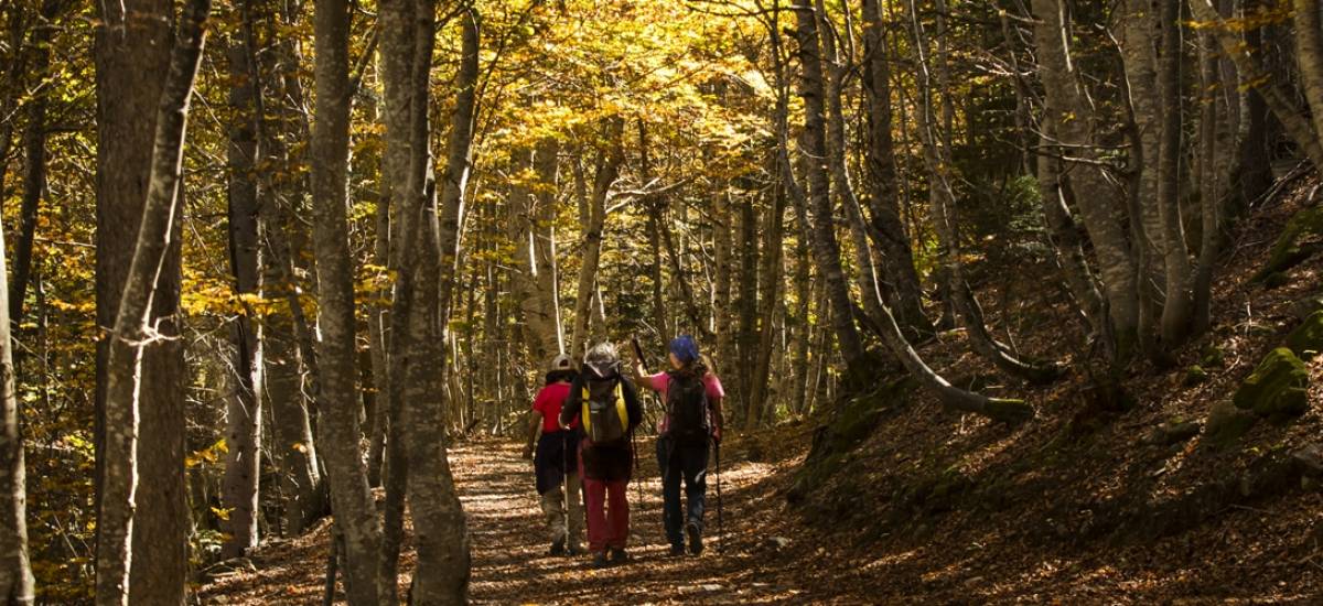  Experiencia "Descubriendo Pirineos"