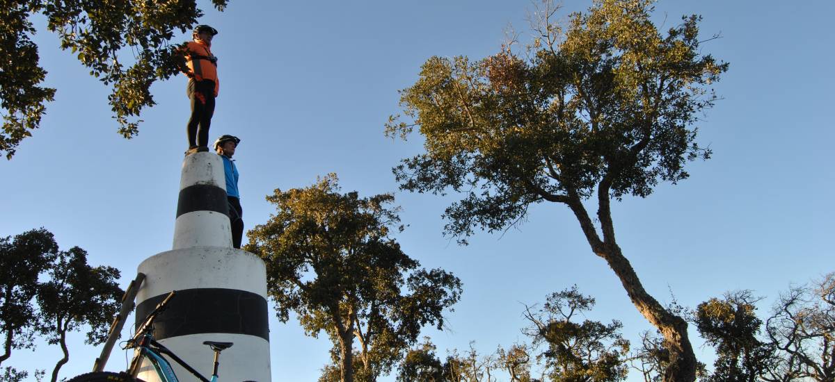 Experiencia "Alentejo en bicicleta eléctrica"