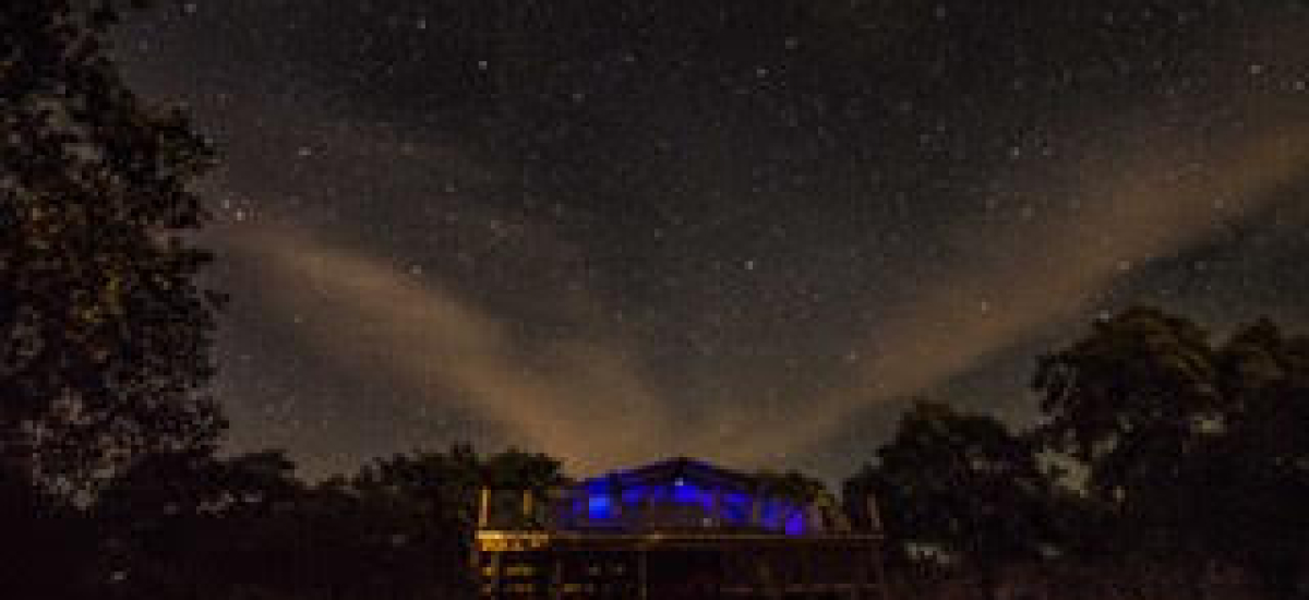 Experiência "Starlight