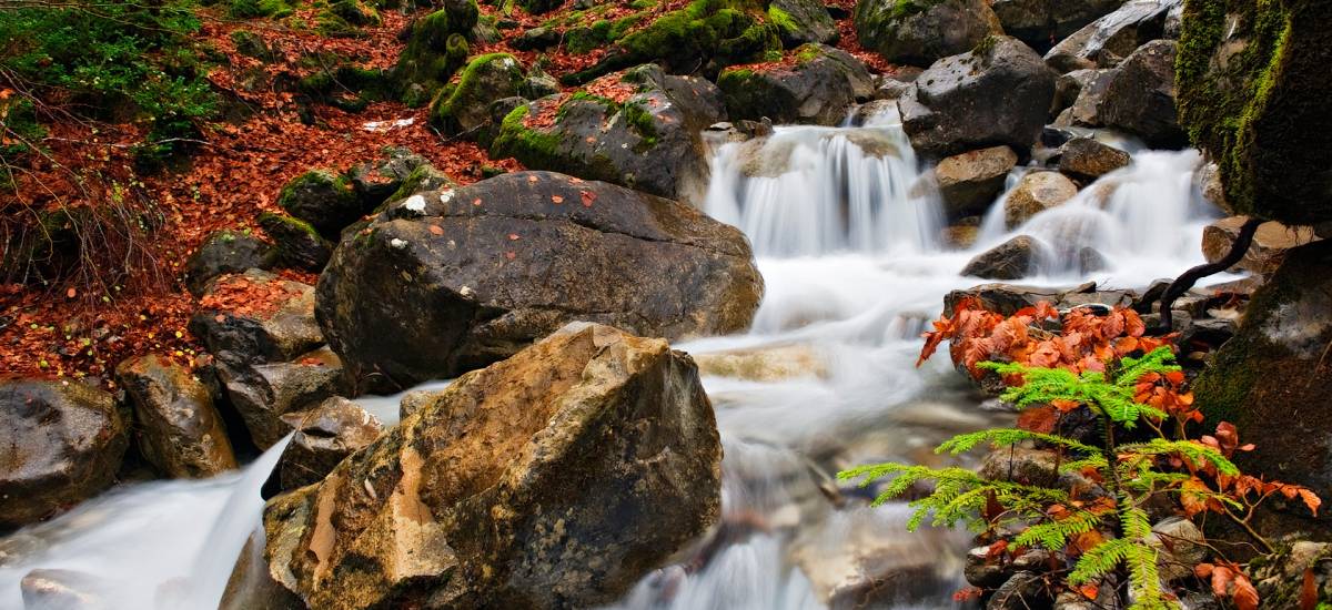  Experiencia "Descubriendo Pirineos"