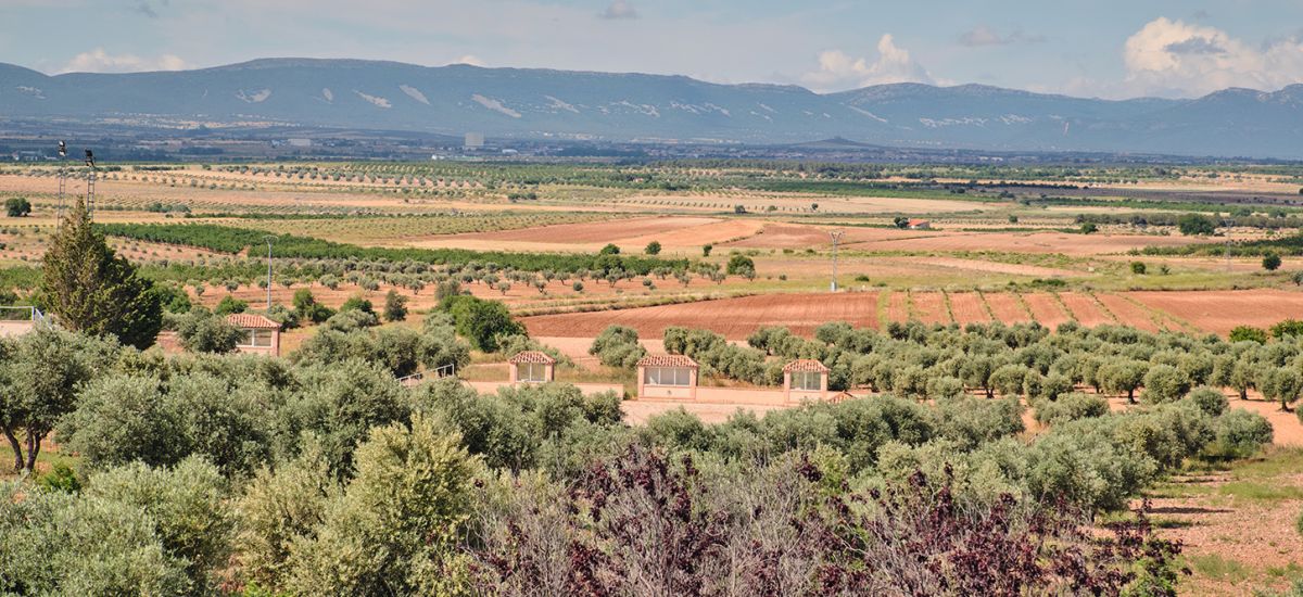 Erlebnis Reiten in der Villa Nazules