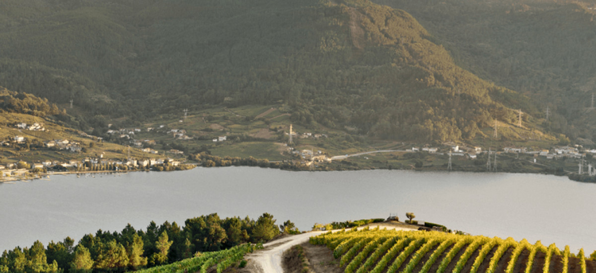 Tesoros gallegos: naturaleza y vinos del Ribeiro