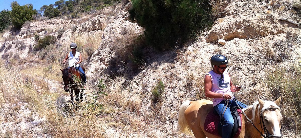 Passeio equestre: Explorar a Reserva Natural do Maigmo a cavalo
