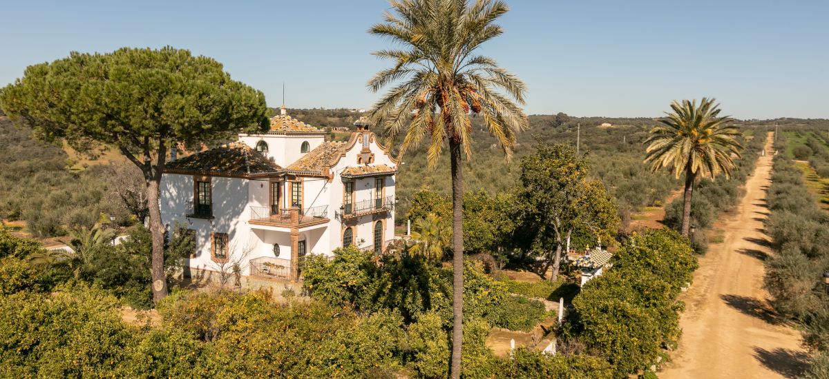 Experiência "Hacienda San Felipe"