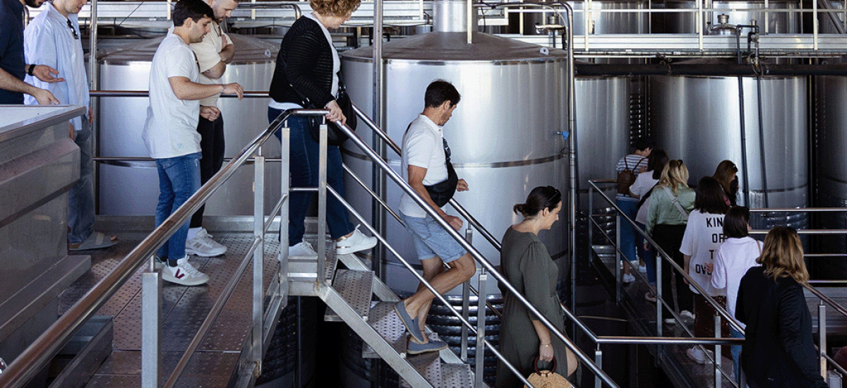 Tesoros gallegos: naturaleza y vinos del Ribeiro