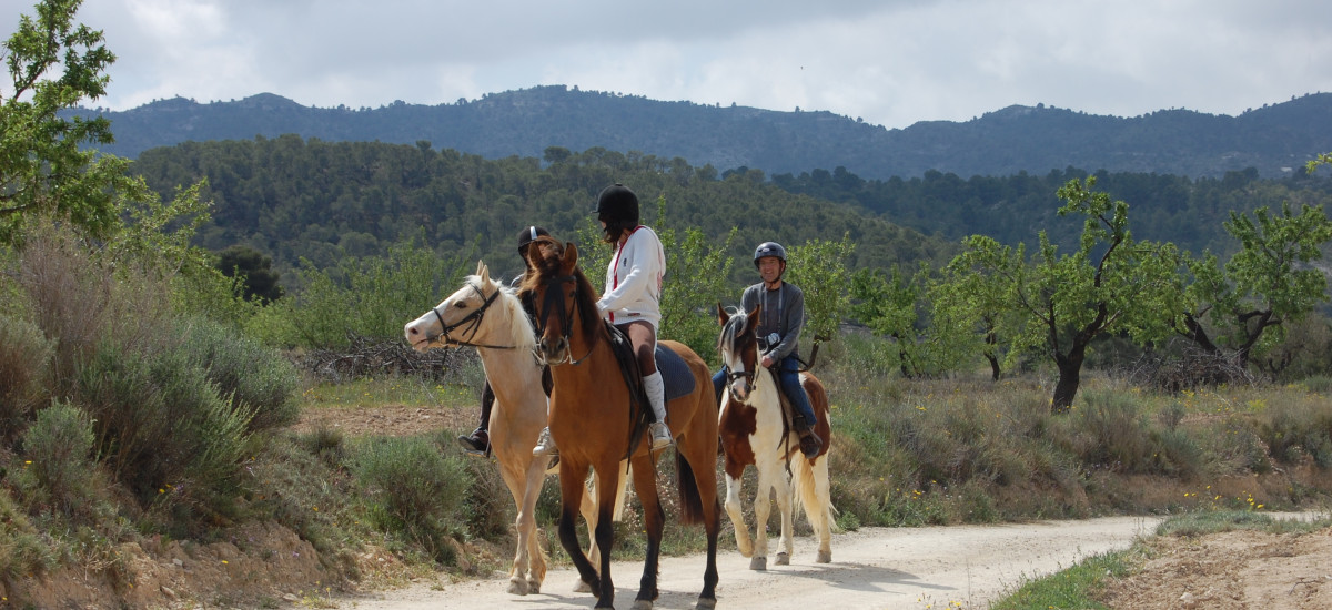 Passeio equestre: Explorar a Reserva Natural do Maigmo a cavalo