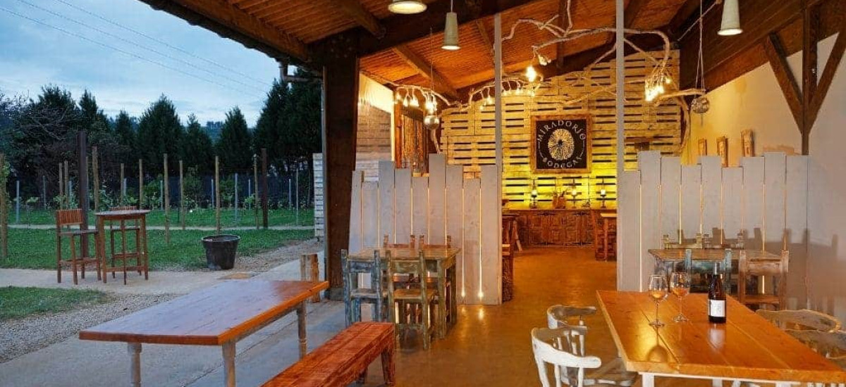 Entre vinhedos nas margens do Golfo da Biscaia