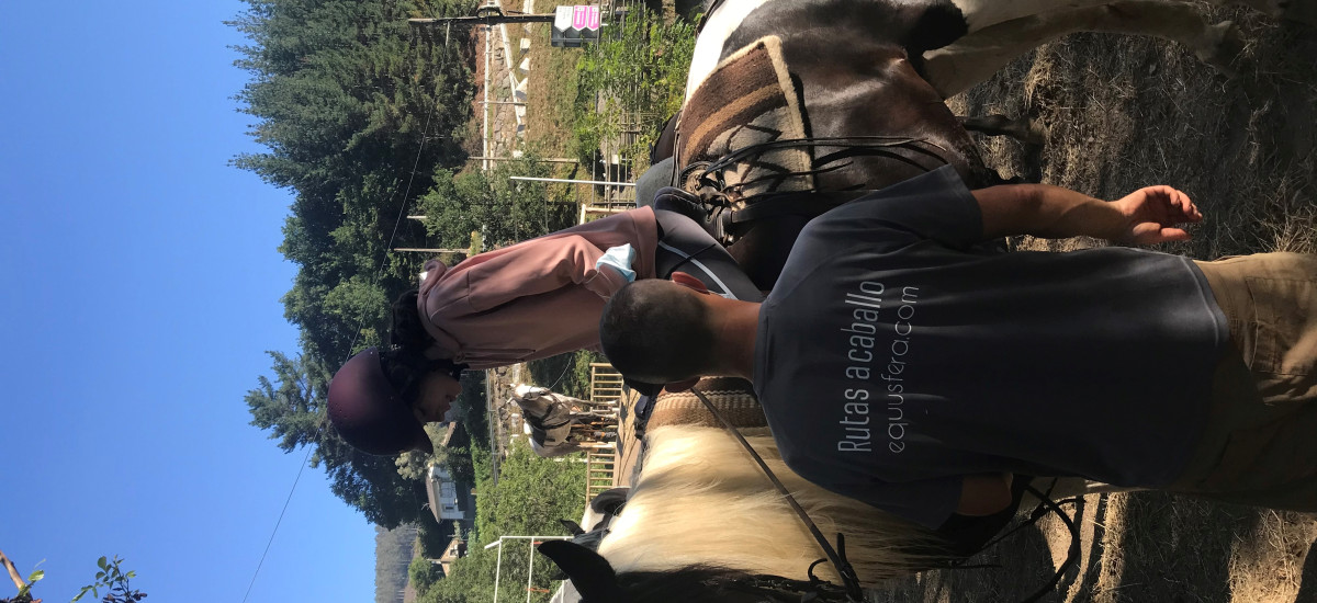 PASSEIOS A CAVALO NA FLORESTA ENCANTADA