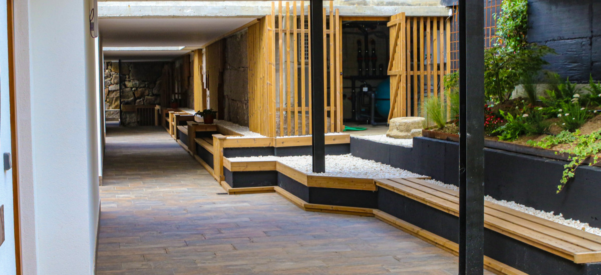 Tesoros gallegos: naturaleza y vinos del Ribeiro