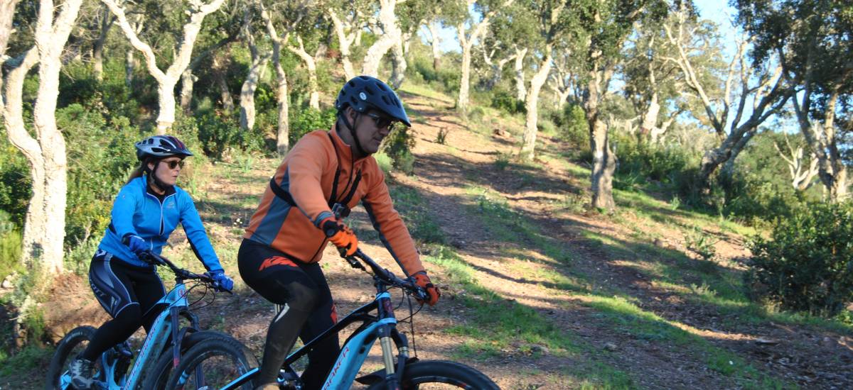 Experiencia "Alentejo en bicicleta eléctrica"