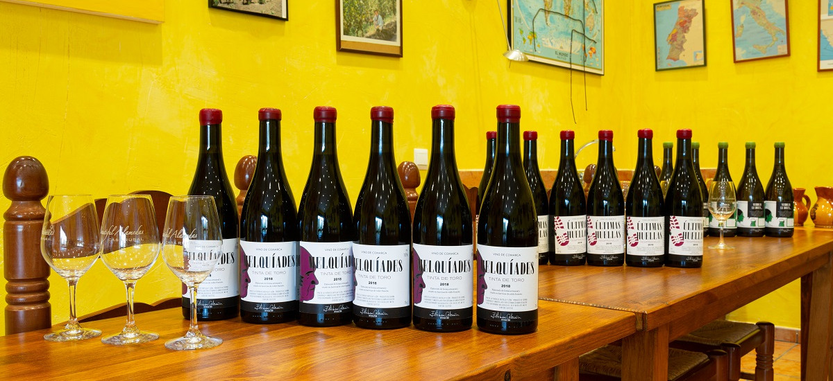 Experiência entre vinhos e vinhedos em Castilla Leon