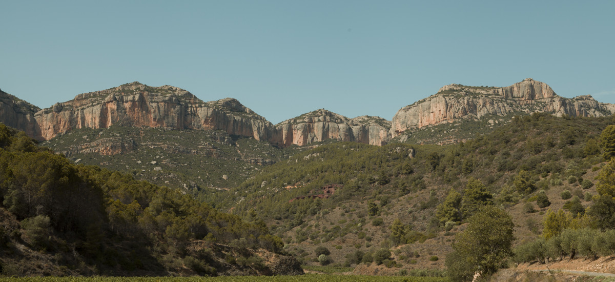 An oenological getaway with Priorat wines