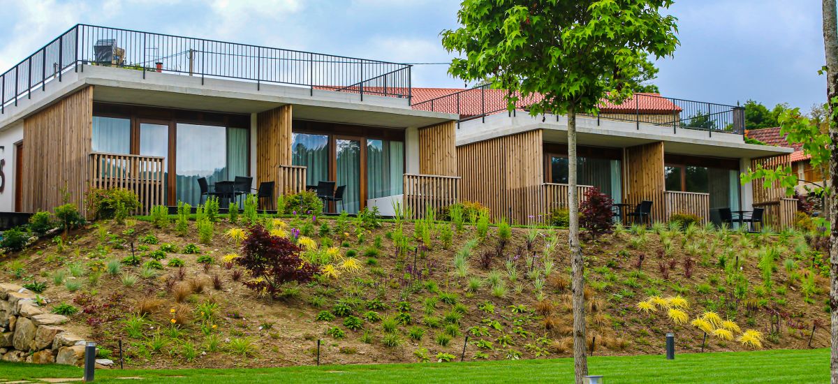 Tesoros gallegos: naturaleza y vinos del Ribeiro