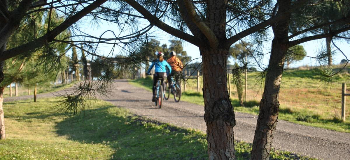 Experiencia "Alentejo en bicicleta eléctrica"