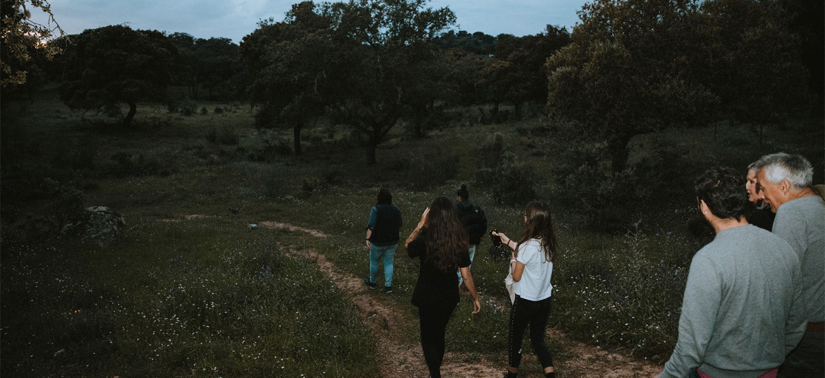 Experiência "Starlight