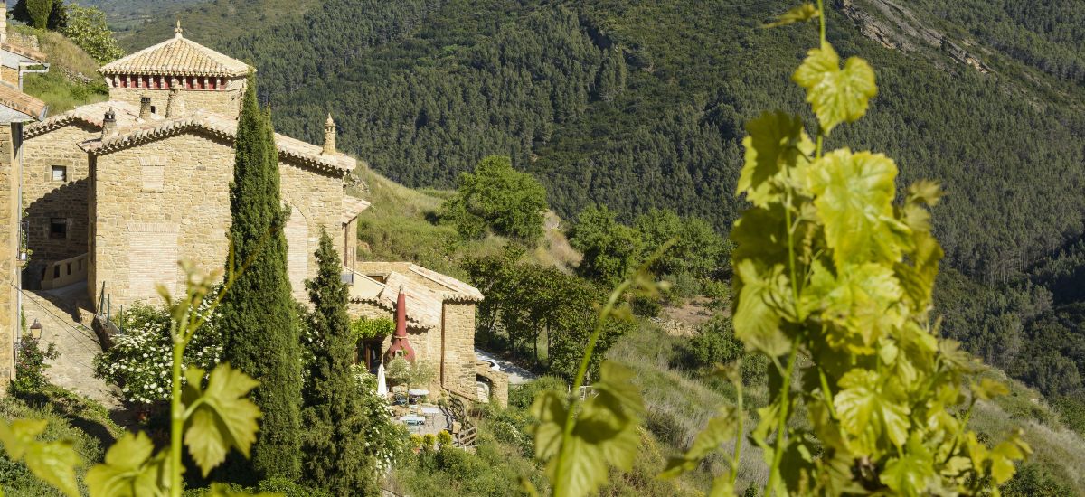 Experimente " Vinhos da terra e do mar "