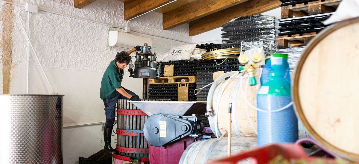 Experiência entre vinhos e vinhedos em Castilla Leon