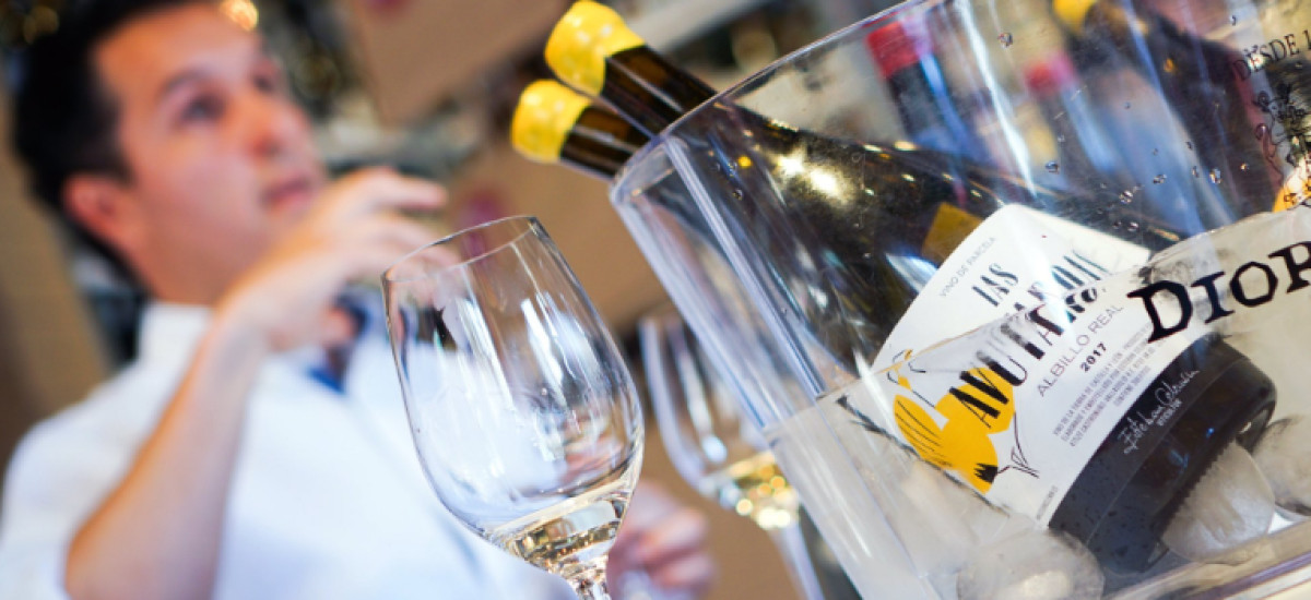 Experiência entre vinhos e vinhedos em Castilla Leon