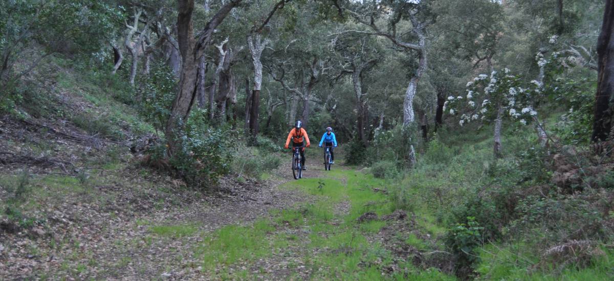 Experiencia "Alentejo en bicicleta eléctrica"