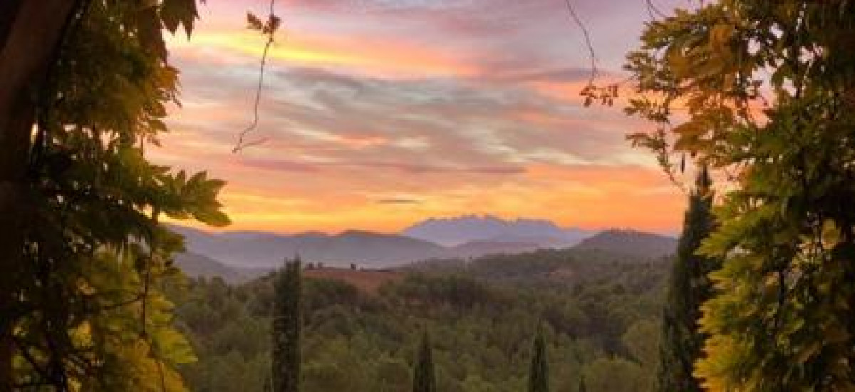 Bosques Garriga de castelladrall