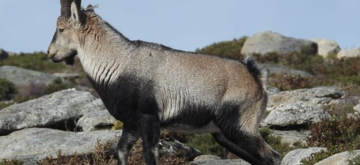 Experimente a Natureza Viva na Galiza 