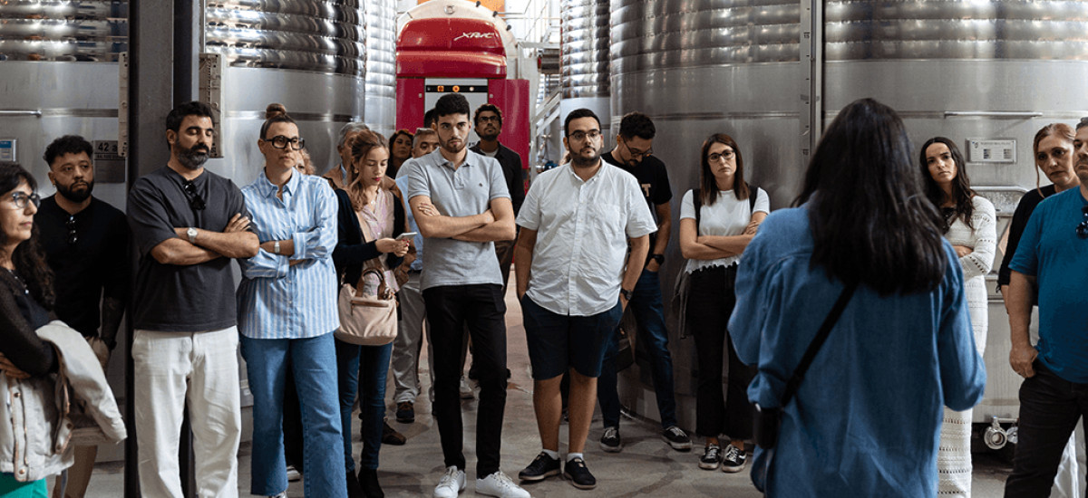 Tesoros gallegos: naturaleza y vinos del Ribeiro