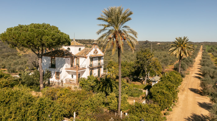 Erleben Sie die "Hacienda San Felipe"